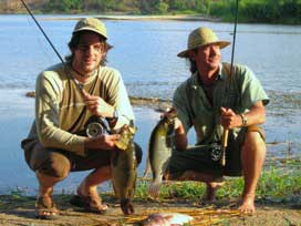 Thinface Bream on Fly